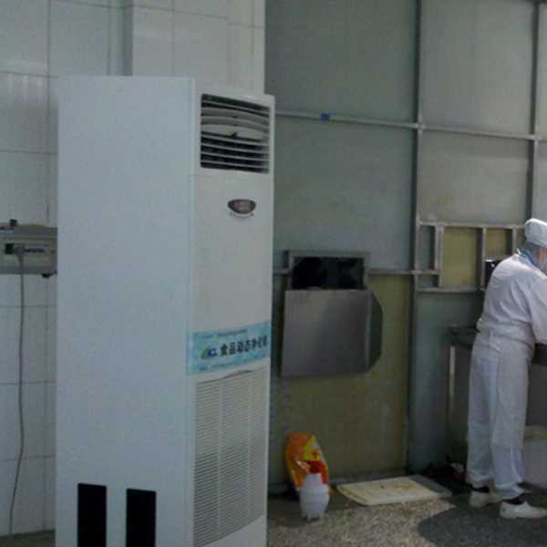 甘孜食品正负离子空气杀菌器